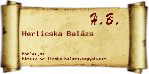 Herlicska Balázs névjegykártya