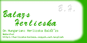 balazs herlicska business card